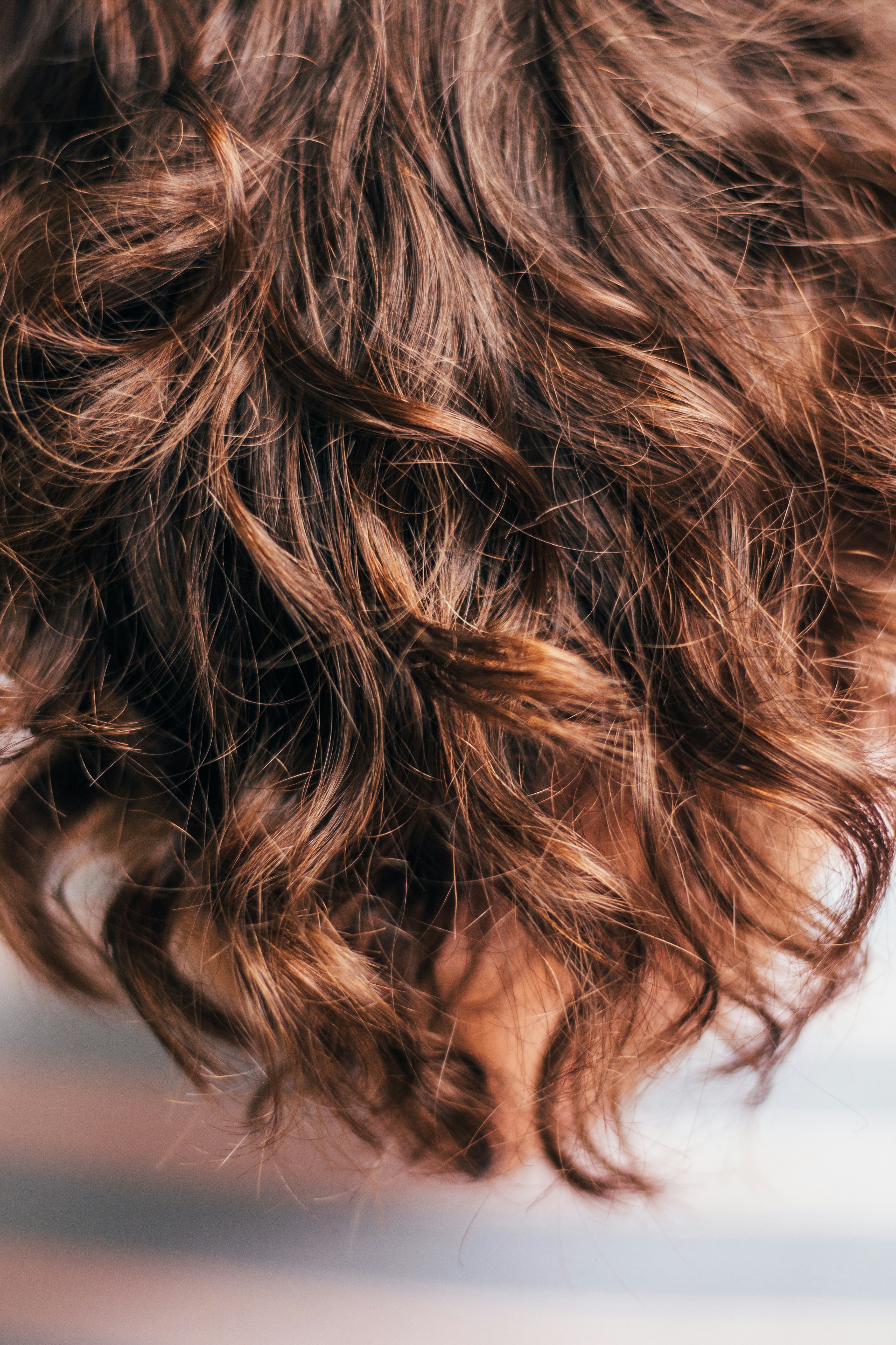 Textured shag with curtain fringe